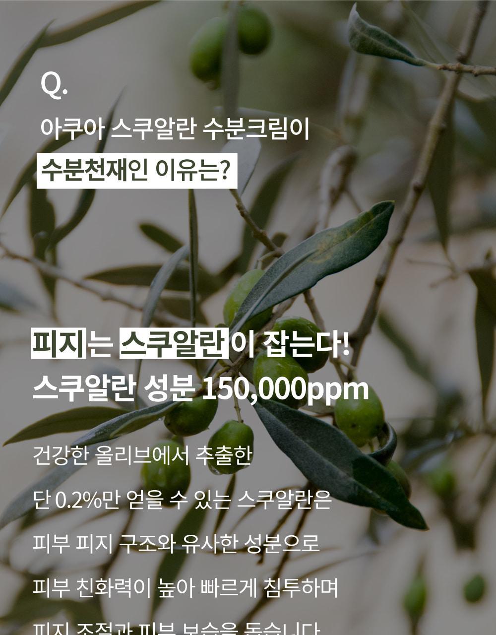 韓國熱賣No.1面霜~S.NATURE Aqua Squalane Moisturizing Cream 角鯊烷保濕面霜 - 大容量80ml