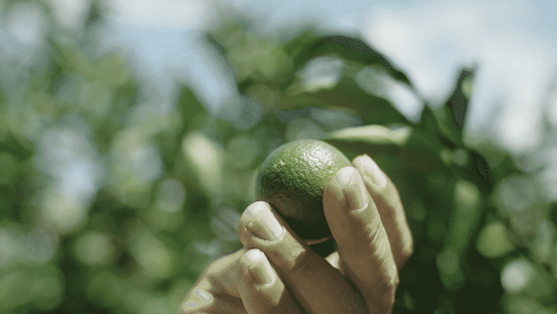 〖最新升級版!〗韓國 goodal Green Tangerine Vita C Dark Spot Care Serum 濟州青橘維C美白淡斑去痘印保濕精華