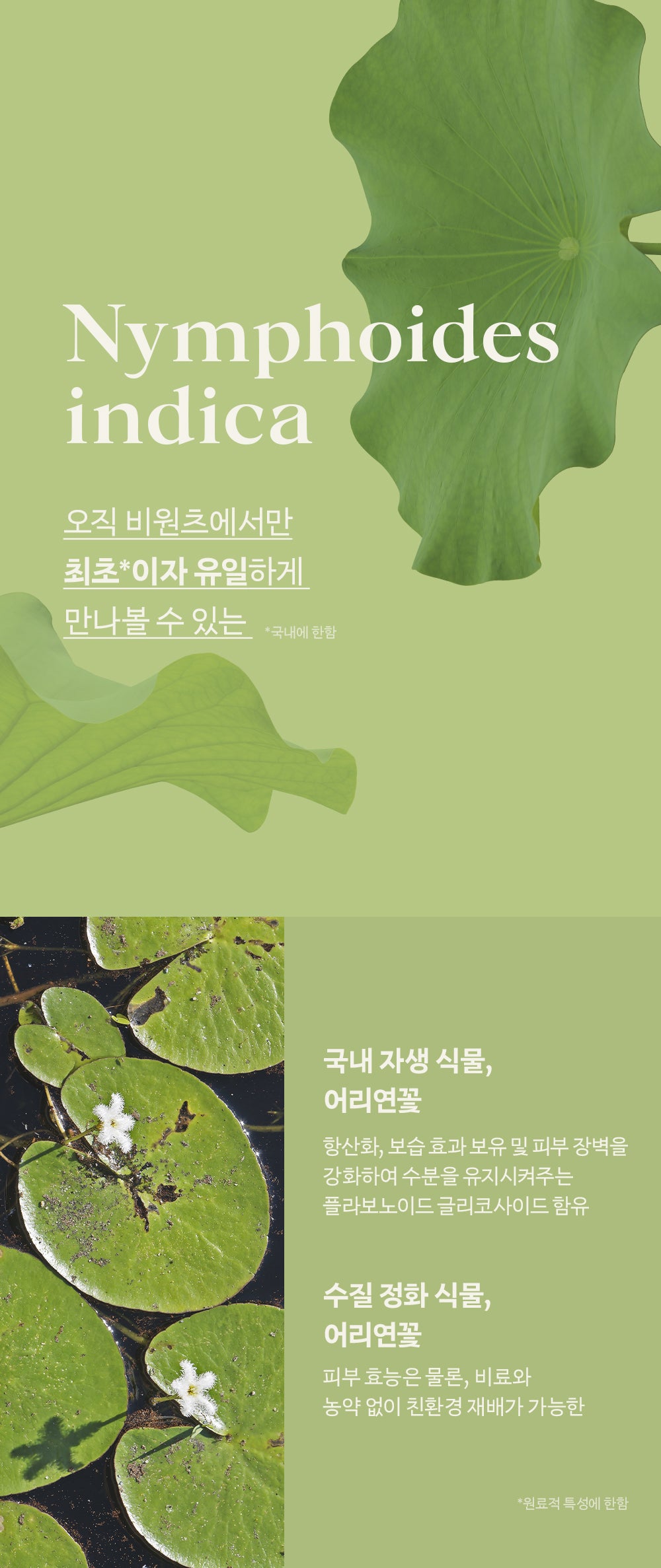 韓國 be wants Phyto Collagen Eye Serum Stick 純素膠原蛋白眼部精華舒壓滾珠棒