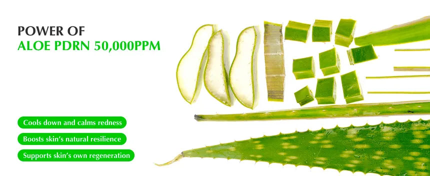 EQQUALBERRY - Aloe PDRN Calming Serum - 30ml