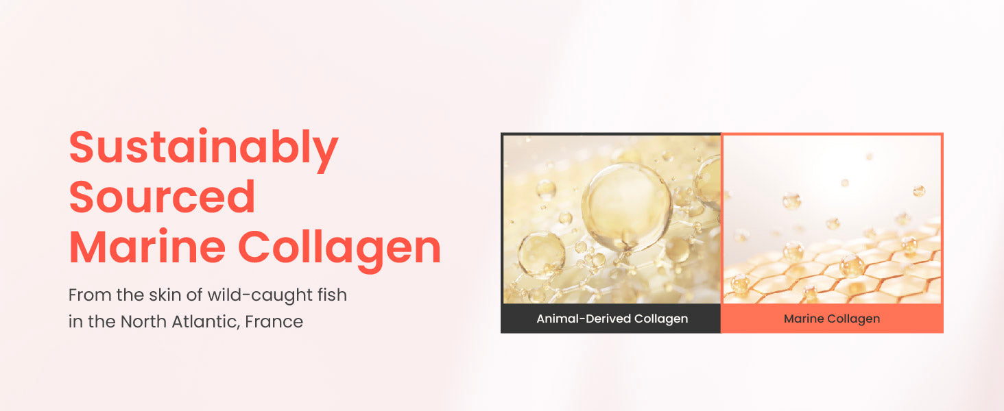 Innerb Glow Capsule Collagen Firm Skin Elasticity Korean Skin Care Supplement Elastin Vitamin C