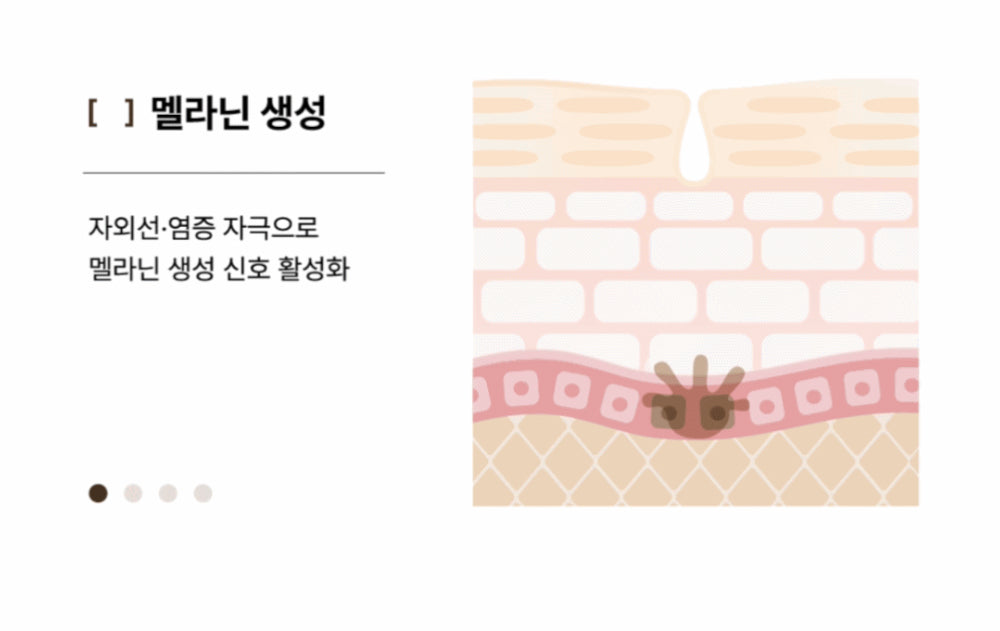 악세사리 상품 이미지-S23L2