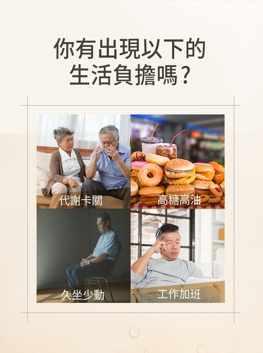管道不通、生活負擔者，推薦食用