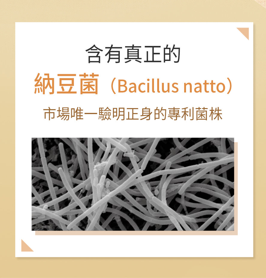 養生必備BHK納豆+Q10。