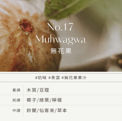 Hetras 芒果籽油絲滑保濕護手霜 50ml - Beautitu.com