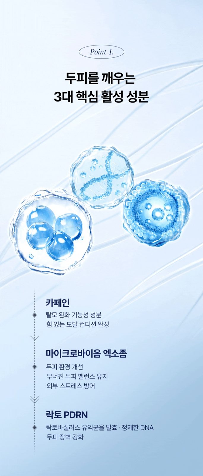 Epais Caffeine Morning Water Shampoo 400ml