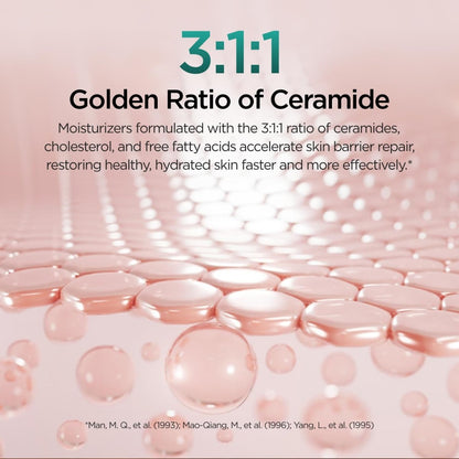 P.CALM Cato Cream 積雪草乳酸桿菌深層保濕舒緩霜 80ml - Beautitu.com